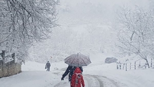 Hendek'te Kar Yağışı Etkili Oldu