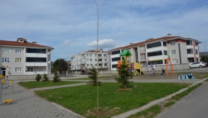 Turgut Babaoğlu Yeşili Önemsiyor Doğayı Koruyoruz.