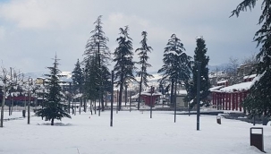 Bu Gece Buz Keseceğiz 