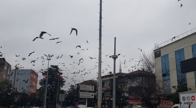 Dikkat Meteoroloji Uyardı Yağmur Geliyor