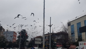 Dikkat Meteoroloji Uyardı Yağmur Geliyor