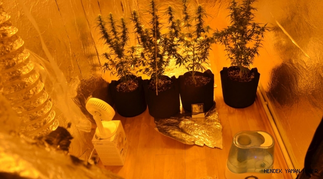 Hendek'te 2021 Yılının İlk  3 Aylık Uyuşturucu Bilançosu