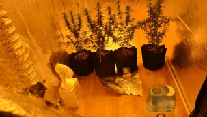 Hendek'te 2021 Yılının İlk 3 Aylık Uyuşturucu Bilançosu