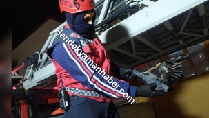 Hendek'te Ağaça Sıkışan Kuşu İtfaiye Kurtardı