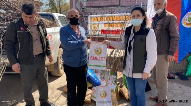 Hendek'te Vatandaşlara Ücretsiz Fidan Dağıtıldı