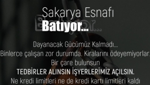 Twitter'da #sakaryaesnafıbatıyor Etiketi ile Paylaşım 