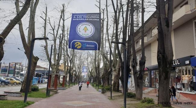 Bölgesel Amatör Ligi'nin Mayıs sonuna ertelenmesine Hendekspor'dan tepki geldi.
