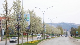 Çiçek Açan Ağaçlar Görsel Şölen Sunuyor