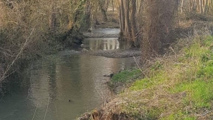 Hendek Balıklı Deresini Koruma Platformu Dereler Ölmesin Tabiat Yeşersin