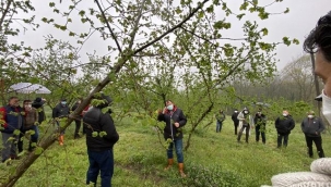 Hendek Fındık Tarlalarında Tarım Projesi Gerçekleştirildi