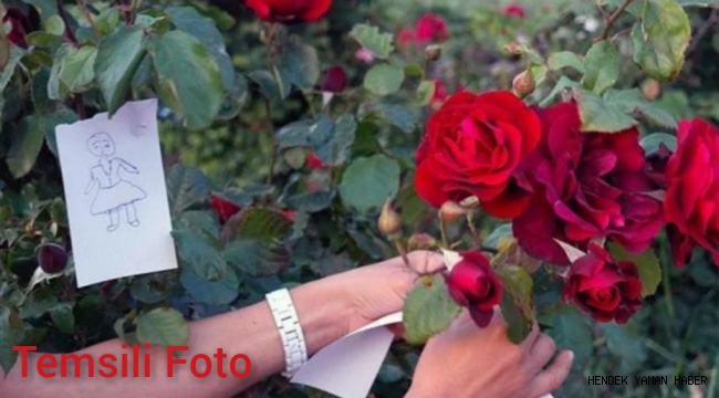 Bugün Baharın Müjdecisi Hıdırellez