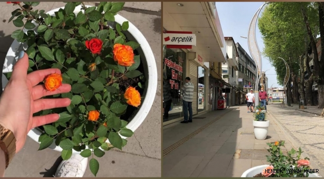 Hendek'te  Cadde Çiçek Açtı