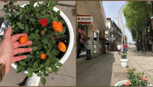 Hendek'te  Cadde Çiçek Açtı