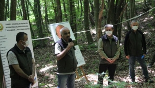 Hendek Orman İşletme Müdürlüğünde Silvikültür Tatbikatı