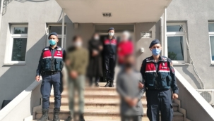 Hendek'te Büyükbaş Hayvan Hırsızlığından 3 Kişi Tutuklandı