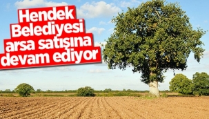 Hendek Belediyesi 27 Adet Taşınmaz Satışı İçin 7 Haziran Pazartesi Saat 10.00’da İhaleye Çıkıyor