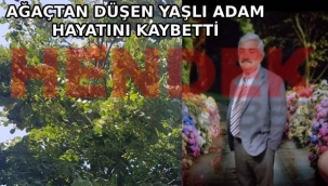 Hendek de ağaçtan düşen yaşlı adam hayatını kaybetti