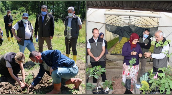 Hendek Orman İşletme ve Fidanlık Şefliğinde Ağaçlandırma ve Fidan Üretim Eğitimi Yapıldı