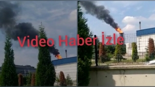 Hendek OSB' de Baca Yangını Korkuttu