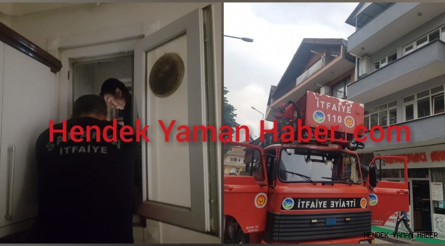 Hendek’te Kedi Kurtarma Operasyonu