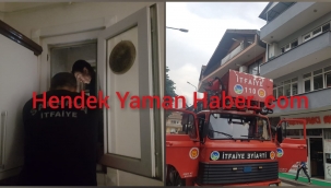 Hendek’te Kedi Kurtarma Operasyonu