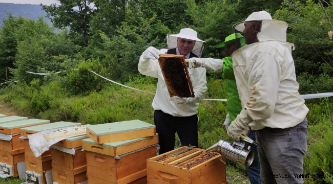 “Sakarya arıcılıkta daha iyi noktalara ulaşacak”