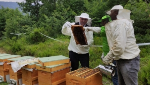 “Sakarya arıcılıkta daha iyi noktalara ulaşacak”