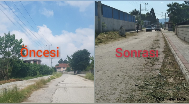 “Yabani Otla Mücadele Bu Caddeye Uğramadı Haberimiz Ses Getirdi