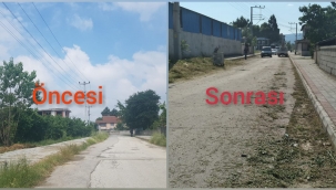 “Yabani Otla Mücadele Bu Caddeye Uğramadı Haberimiz Ses Getirdi