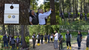 Hendek'te Amerikan Beyaz Kelebeği İle Biyolojik Mücadele