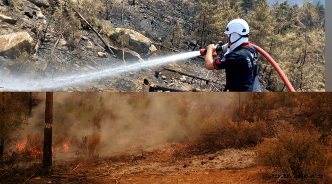Hendekli Emekli itfayeci takdir topladı