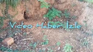 Hendek'te Defineciler Gözünü Bu Mezarlığa Dikti