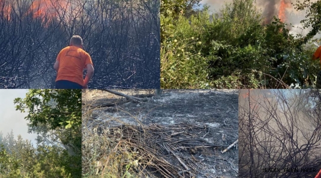 Hendek'te Ormanlık Alanda Çıkan Yangın Korku Yarattı