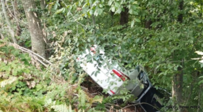 Hendek'te Otomobil Ormanlık alana uçtu: 1 yaralı