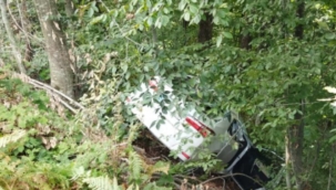 Hendek'te Otomobil Ormanlık alana uçtu: 1 yaralı