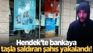Hendek'te Banka ve İşyerine  taşla zarar Veren şahıs yakalandı!