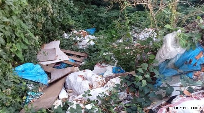 Hendek’te Yeşil Alanı Çöplüğe Çevirdiler
