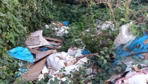 Hendek’te Yeşil Alanı Çöplüğe Çevirdiler