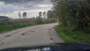 Hendek Yayalar Mahallesinde Bozuk Yol Tepkisi