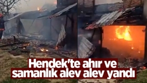 Hendek'te Ahır ve samanlık Yangını Korkuttu