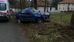 Hendek'te Feci Kaza Direksiyon Hakimiyetini Kaybetti  Ağaca Çarptı 