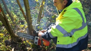 Hendek'te Fındık Bahçesi Sahiplerine Eğitimler Devam Ediyor