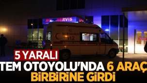 Hendek TEM'de Korkutan Kaza 6 araç Birbirine Girdi 5 yaralı