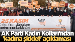 Sakarya AK Parti Kadın Kolları'ndan 'kadına şiddet' açıklaması