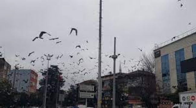 Sakarya Büyükşehir’den fırtına uyarısı