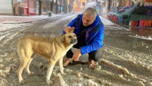 BAŞKAN BABAOĞLU CAN DOSTLARIMIZA KUCAK AÇIYORUZ  