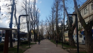 Fotoğraflar Bugun Hendek'te Çekildi Sabah Kar Öğlen Güneş Bir Günde 2 Mevsim 