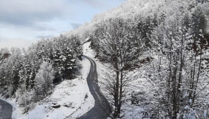 Hendek Dikmen Yaylası Beyazlar İçerisinde 