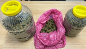 Hendek'te Jandarma kaçan zanlıyı ararken kilolarca esrar yakaladı