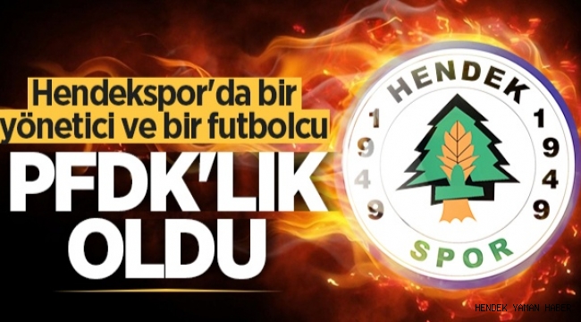 Hendekspor Kulüp Yöneticisi Metin Genç  Futbolcu Berkay Ekici PFDK'lık Oldu